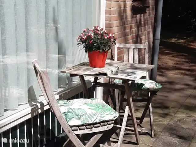 Location de Vacances Pays-Bas, Overijssel, Holten, maison de vacances - Maison forestière rétro 'De Verpoozing' Soleil du matin