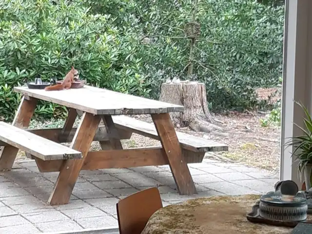 Location de Vacances Pays-Bas, Overijssel, Holten, maison de vacances - Maison forestière rétro 'De Verpoozing' Pas de noix aujourd'hui ?