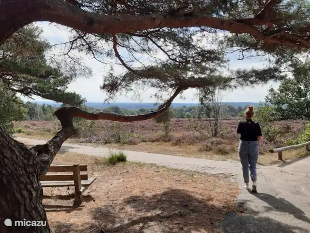 Location de Vacances Pays-Bas, Overijssel, Holten, maison de vacances - Maison forestière rétro 'De Verpoozing' Holterberg