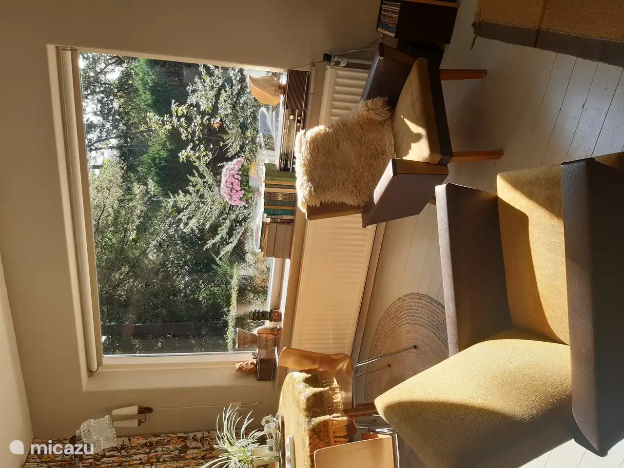 Viele Fenster so schön und hell und eine gute Aussicht auf den Wald