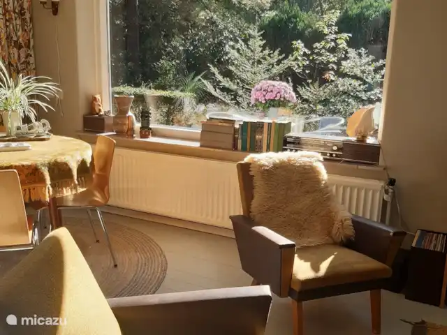 Location de Vacances Pays-Bas, Overijssel, Holten, maison de vacances - Maison forestière rétro 'De Verpoozing' Beaucoup de fenêtres si belles et lumineuses et une belle vue sur la forêt