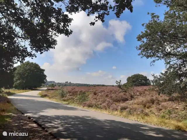 Location de Vacances Pays-Bas, Overijssel, Holten, maison de vacances - Maison forestière rétro 'De Verpoozing' Holterberg