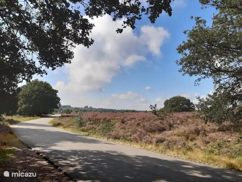 Casa forestal retro 'De Verpoozing' en Países Bajos, Overijssel, Holten - Casa vacacional Casa forestal retro 'De Verpoozing' en Países Bajos, Overijssel, Holten - Casa vacacional