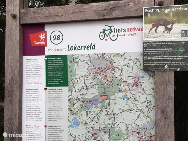 Location de Vacances Pays-Bas, Overijssel, Holten, maison de vacances - Maison forestière rétro 'De Verpoozing' Faire du vélo au Friesenberg