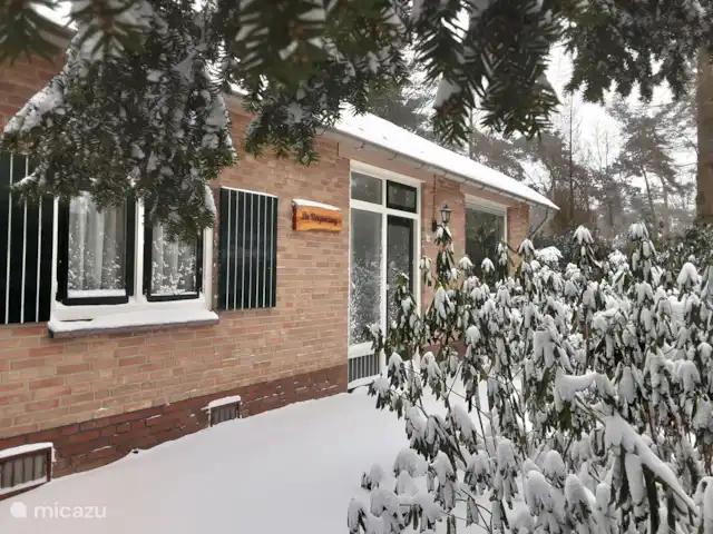 Location de Vacances Pays-Bas, Overijssel, Holten, maison de vacances - Maison forestière rétro 'De Verpoozing' Blanc d’hiver