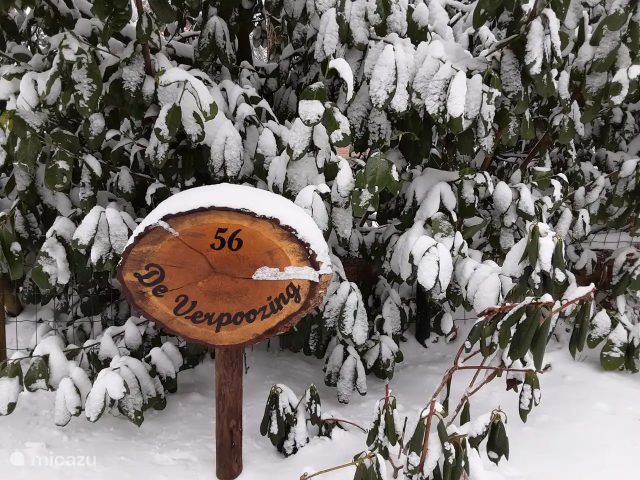 Entspannung im Winter