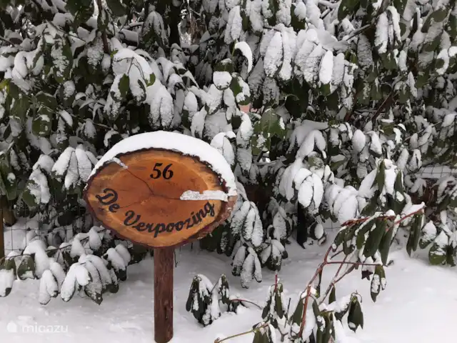 Location de Vacances Pays-Bas, Overijssel, Holten, maison de vacances - Maison forestière rétro 'De Verpoozing' Détente hivernale