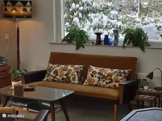Location de Vacances Pays-Bas, Overijssel, Holten, maison de vacances - Maison forestière rétro 'De Verpoozing' Qu'il neige, qu'il neige, qu'il neige