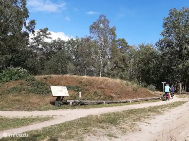 Location de Vacances Pays-Bas, Overijssel, Holten, maison de vacances - Maison forestière rétro 'De Verpoozing' Friesenberg