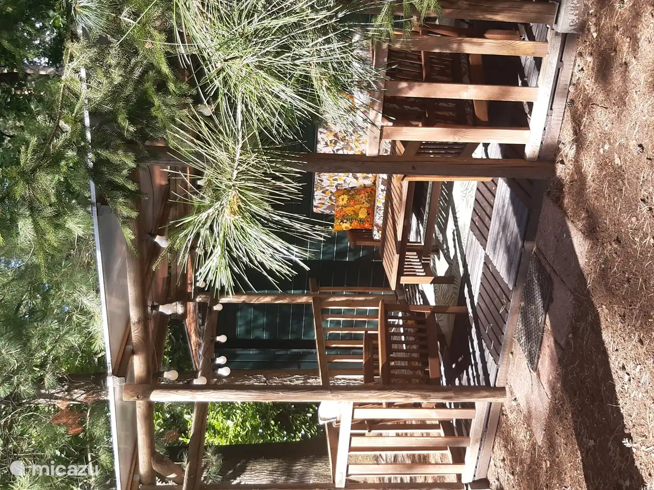 Herrlich in der Abendsonne