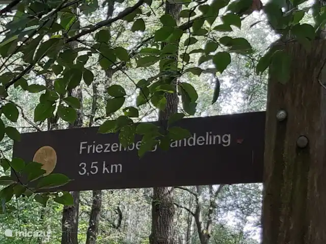 Location de Vacances Pays-Bas, Overijssel, Holten, maison de vacances - Maison forestière rétro 'De Verpoozing' Aller à pied..