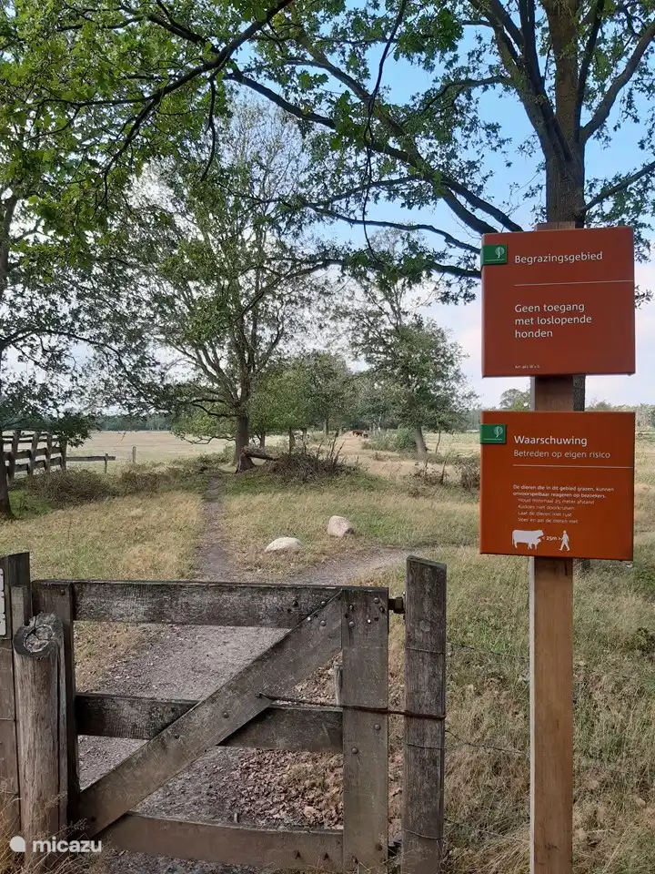 Der Friezenberg, nicht so bekannt wie der Holterberg, aber so schön!