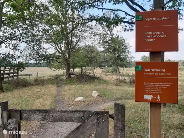 Location de Vacances Pays-Bas, Overijssel, Holten, maison de vacances - Maison forestière rétro 'De Verpoozing' Le Friezenberg, moins connu que le Holterberg mais tellement beau !