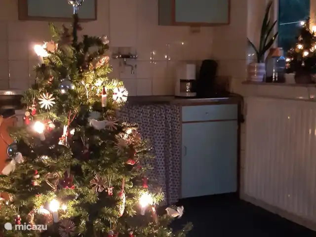 Location de Vacances Pays-Bas, Overijssel, Holten, maison de vacances - Maison forestière rétro 'De Verpoozing' Noël à Holten