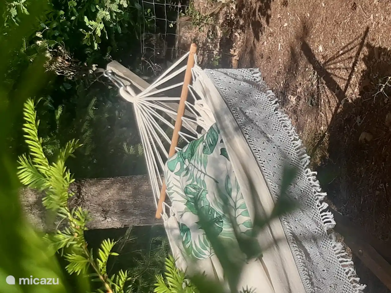 Entspannen Sie sich in der Hängematte unter den Bäumen!