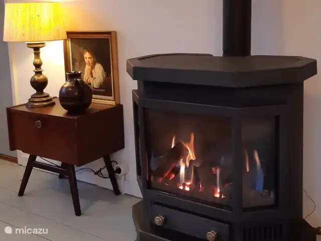 Location de Vacances Pays-Bas, Overijssel, Holten, maison de vacances - Maison forestière rétro 'De Verpoozing' Une soirée fraîche ? C’est bien d’allumer la cuisinière ! Douillet!
