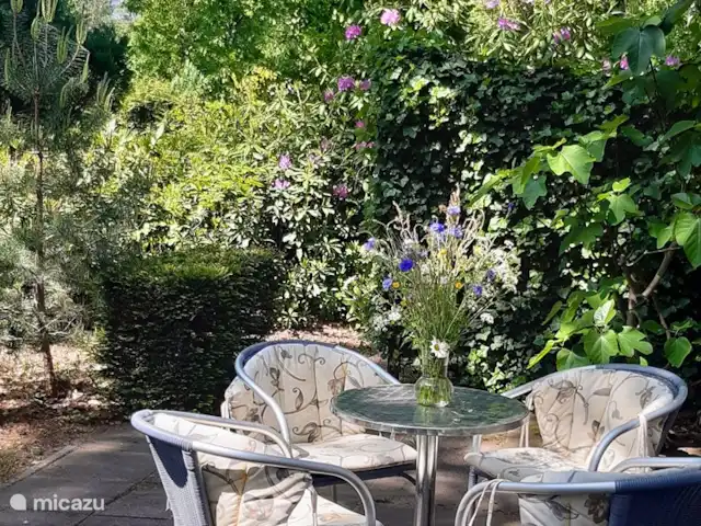 Location de Vacances Pays-Bas, Overijssel, Holten, maison de vacances - Maison forestière rétro 'De Verpoozing' Soleil ou plutôt ombre ? Il y a plusieurs endroits sympas pour s’asseoir