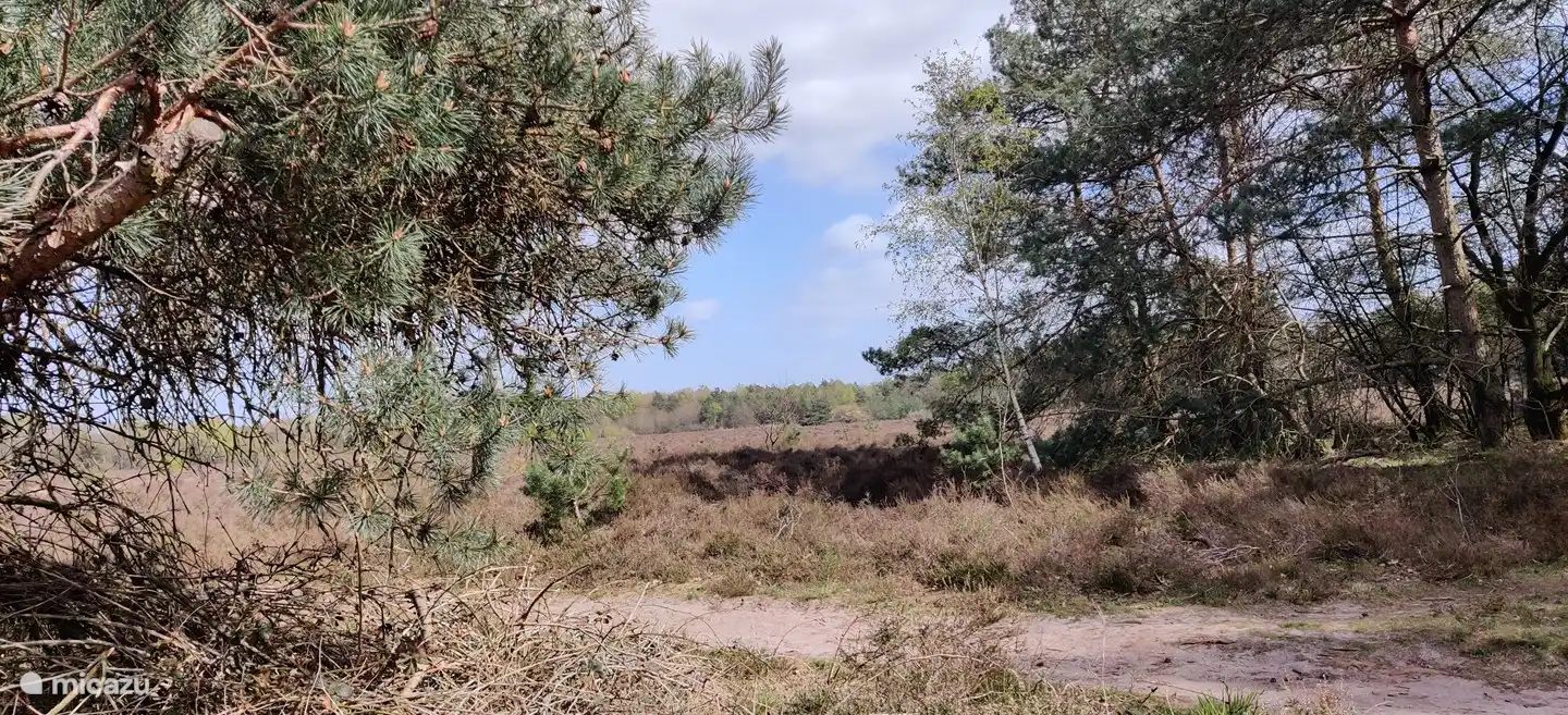 Foto in der Nähe der berühmten Kornkreise in Mander.