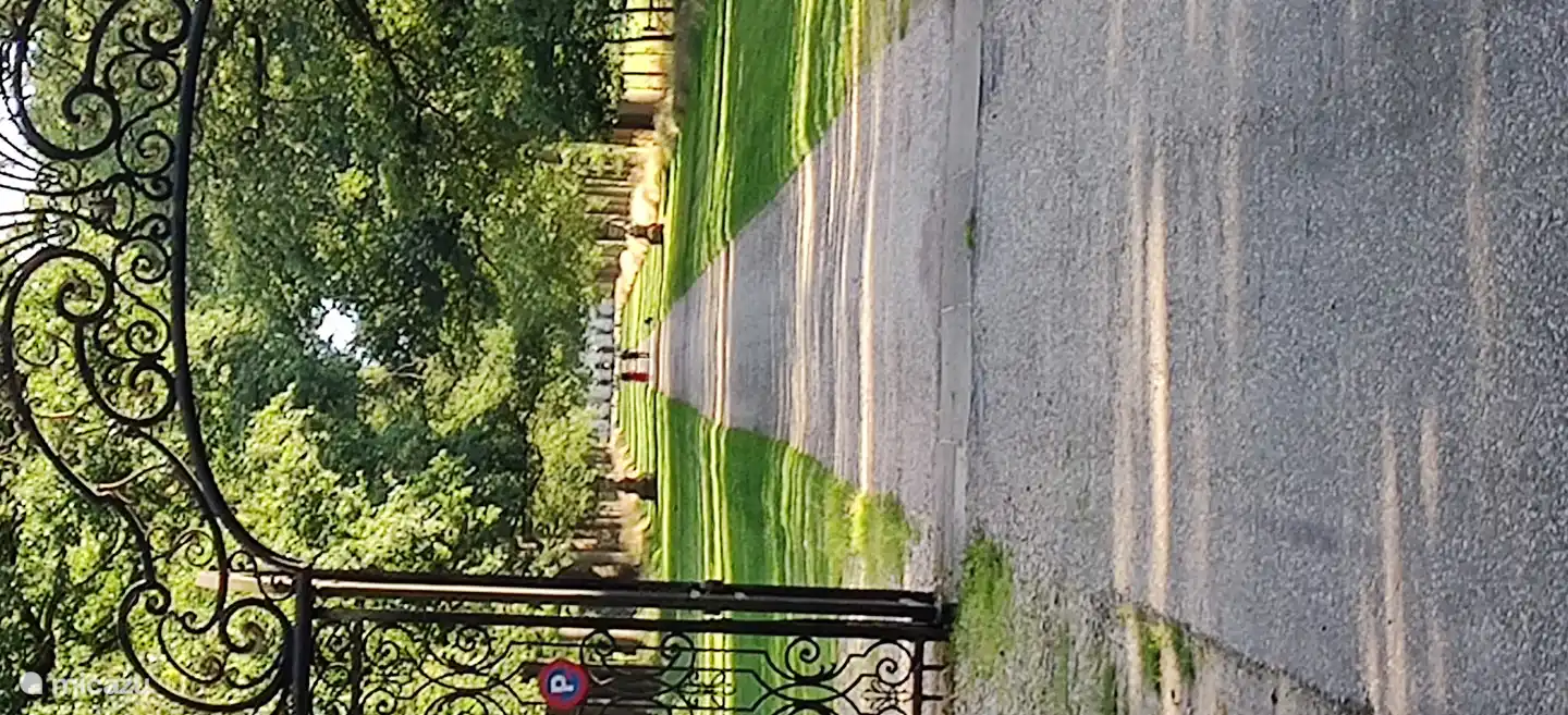 Kasteellaan mit Singraven House in der Ferne. Ein Rundgang lohnt sich auf jeden Fall!