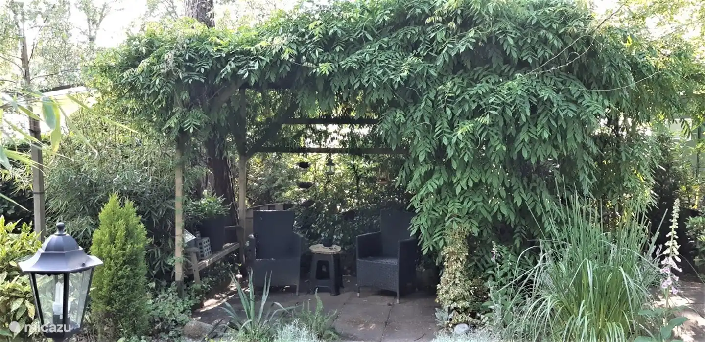 Fantastischer Ort, um den Garten nach einem Spaziergang zu genießen.