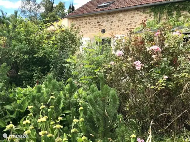 Wandelen, Frankrijk, Nièvre, Sémelay, gîte / cottage La Fleur Sauvage
