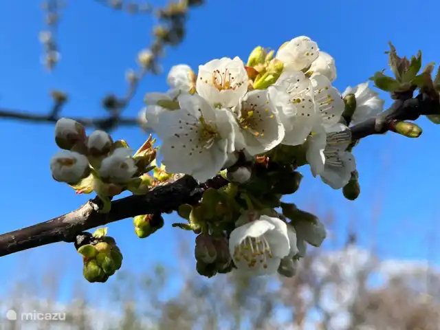 Wandelen, Frankrijk, Nièvre, Sémelay, gîte / cottage La Fleur Sauvage