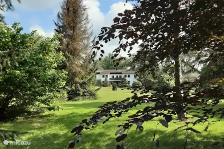Ferienwohnung Deutschland, Harz, Bad Sachsa appartement Hochwald Ferienwohnung