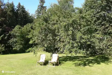 Ferienwohnung Deutschland, Harz, Bad Sachsa appartement Hochwald Ferienwohnung