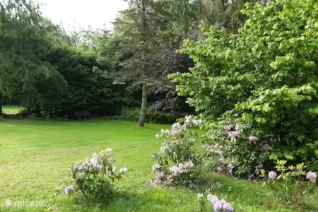 Ferienwohnung Deutschland, Harz, Bad Sachsa appartement Hochwald Ferienwohnung