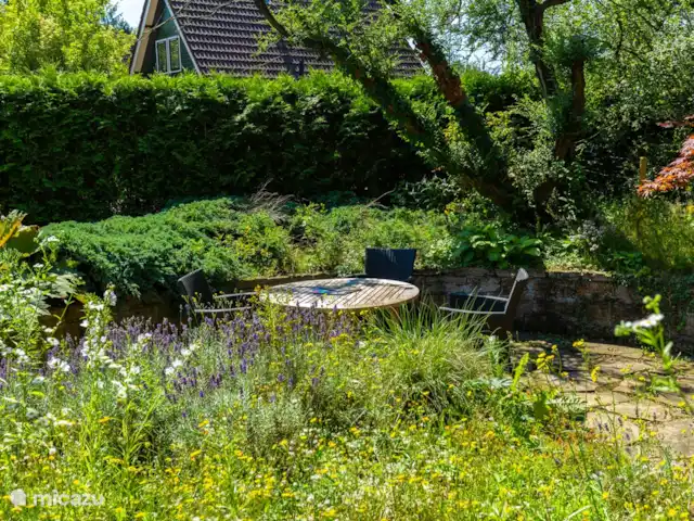 Location de Vacances Pays-Bas, Gueldre, Winterswijk, maison de vacances - Nature et Golf