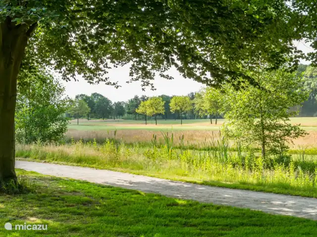 Location de Vacances Pays-Bas, Gueldre, Winterswijk, maison de vacances - Nature et Golf