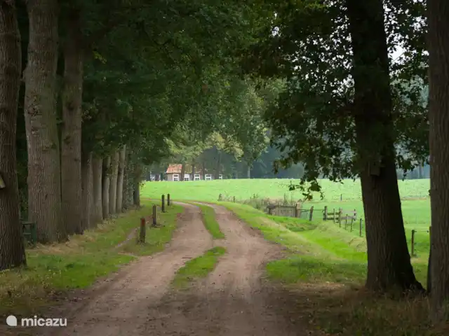 Location de Vacances Pays-Bas, Gueldre, Winterswijk, maison de vacances - Nature et Golf