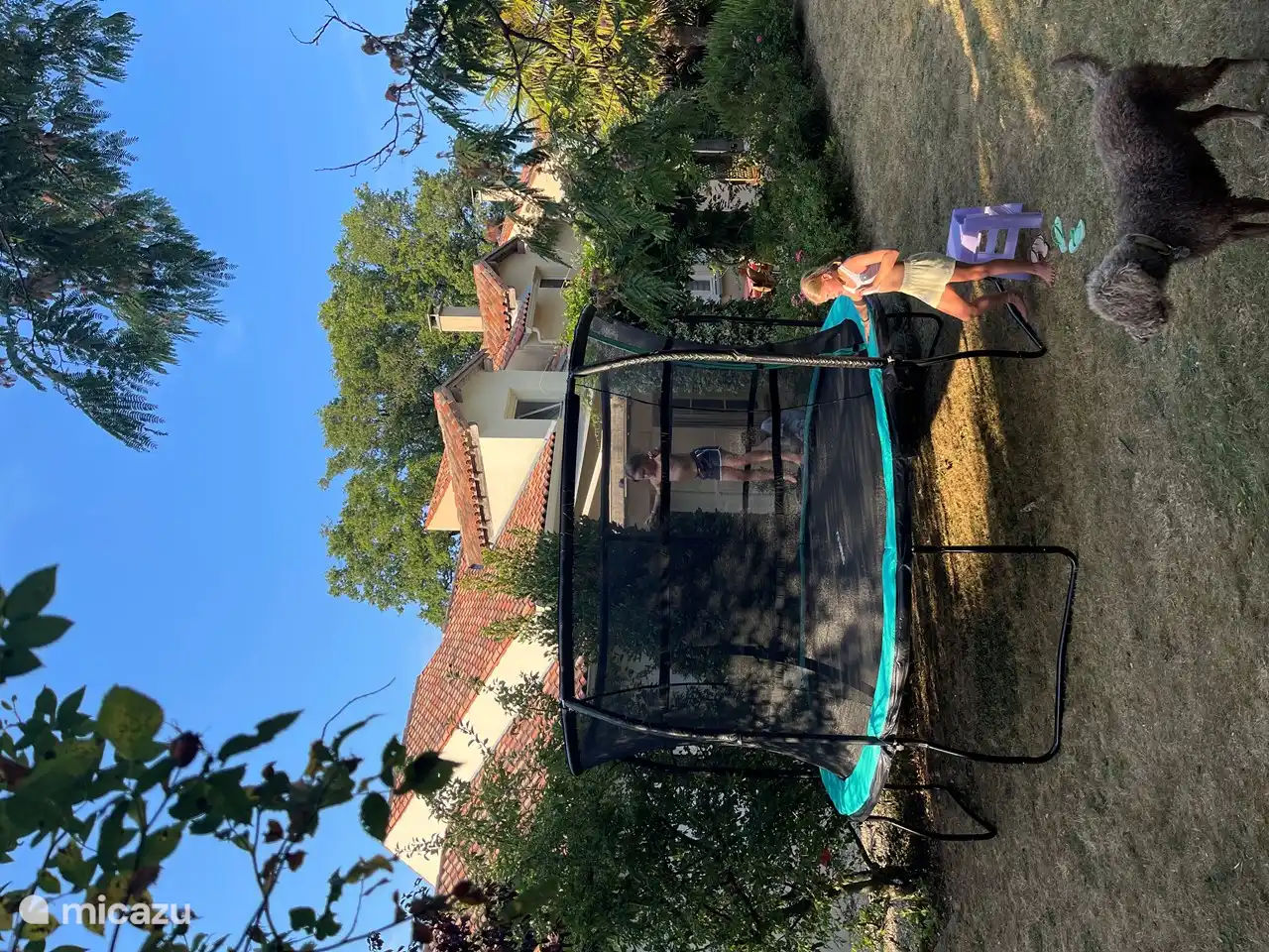 Im August 2022 haben wir im Garten ein Trampolin mit einem Durchmesser von 3,66 m aufgestellt.