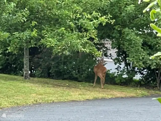Villa Mon Cherry La Haute Preze 26 en Francia, Charente, Rouzède - villa Naturaleza en el jardín