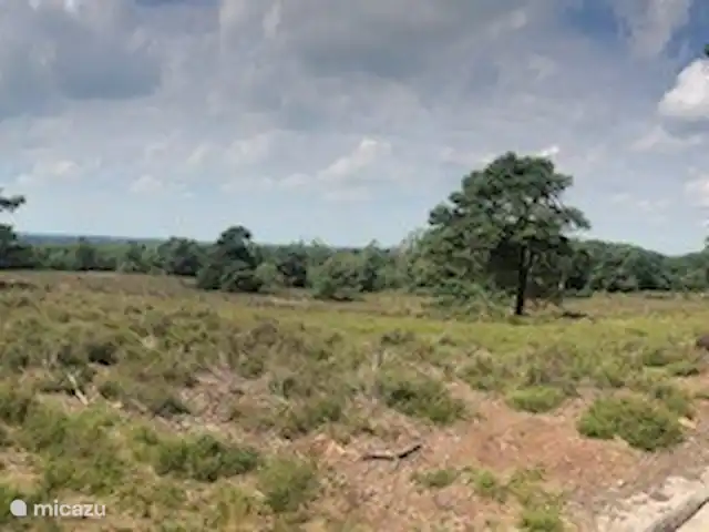 Location de Vacances Pays-Bas, Overijssel, Holten, maison de vacances - Le tribunal de la poste Holterberg