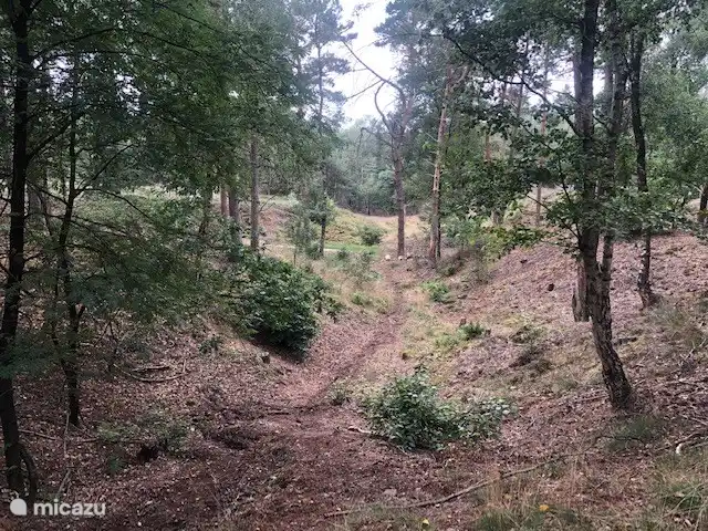 Location de Vacances Pays-Bas, Overijssel, Holten, maison de vacances - Le tribunal de la poste Holterberg
