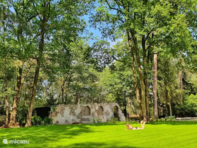 PuurZang | Ommen huren in Nederland, Overijssel, Ommen - vakantiehuis Ruime genoeg rondom het huis, lekker veel gras