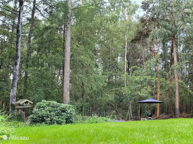 PuurZang | Ommen huren in Nederland, Overijssel, Ommen - vakantiehuis Uitzicht vanuit het huis