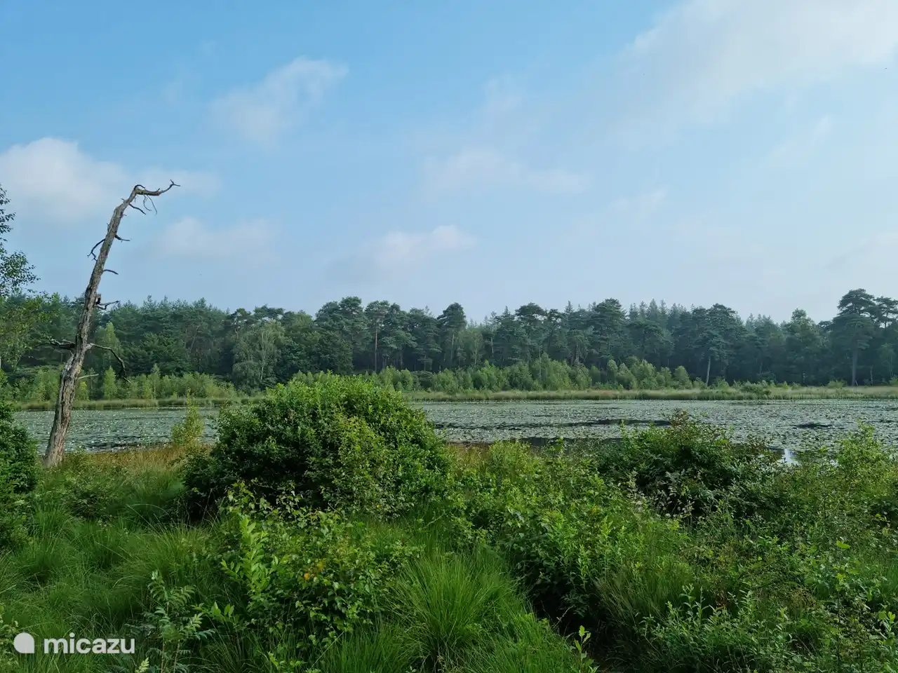 Seen in der Nähe (einfach suchen!).