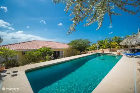 Vacation rental Curaçao, Banda Abou (West), Cas Abou villa Cariblue 180 ° sea view and Magna pool