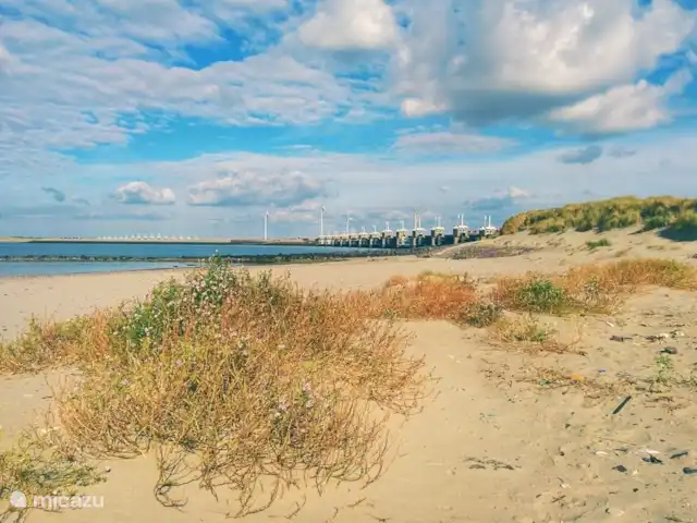 Alegria | Pays-Bas, Zélande, Kamperland - maison de vacances