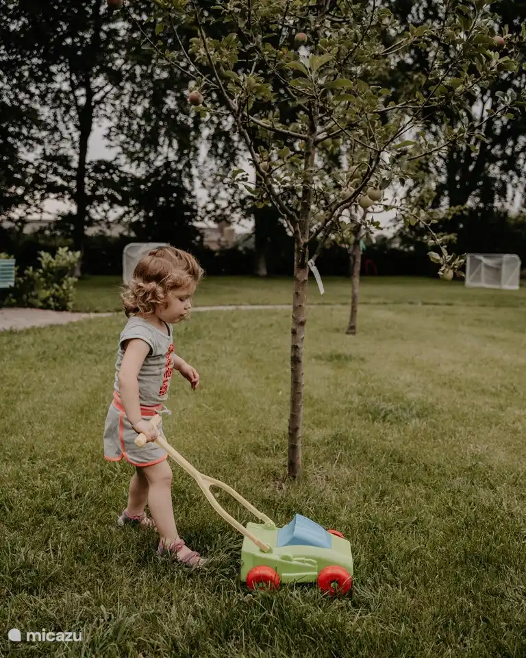 schön, wenn das Gras gemäht wird