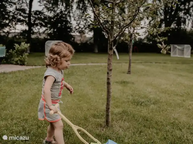 Boekels Buiten en Países Bajos, Barbante Septentrional, Boekel - casa vacacional agradable cuando se corta la hierba
