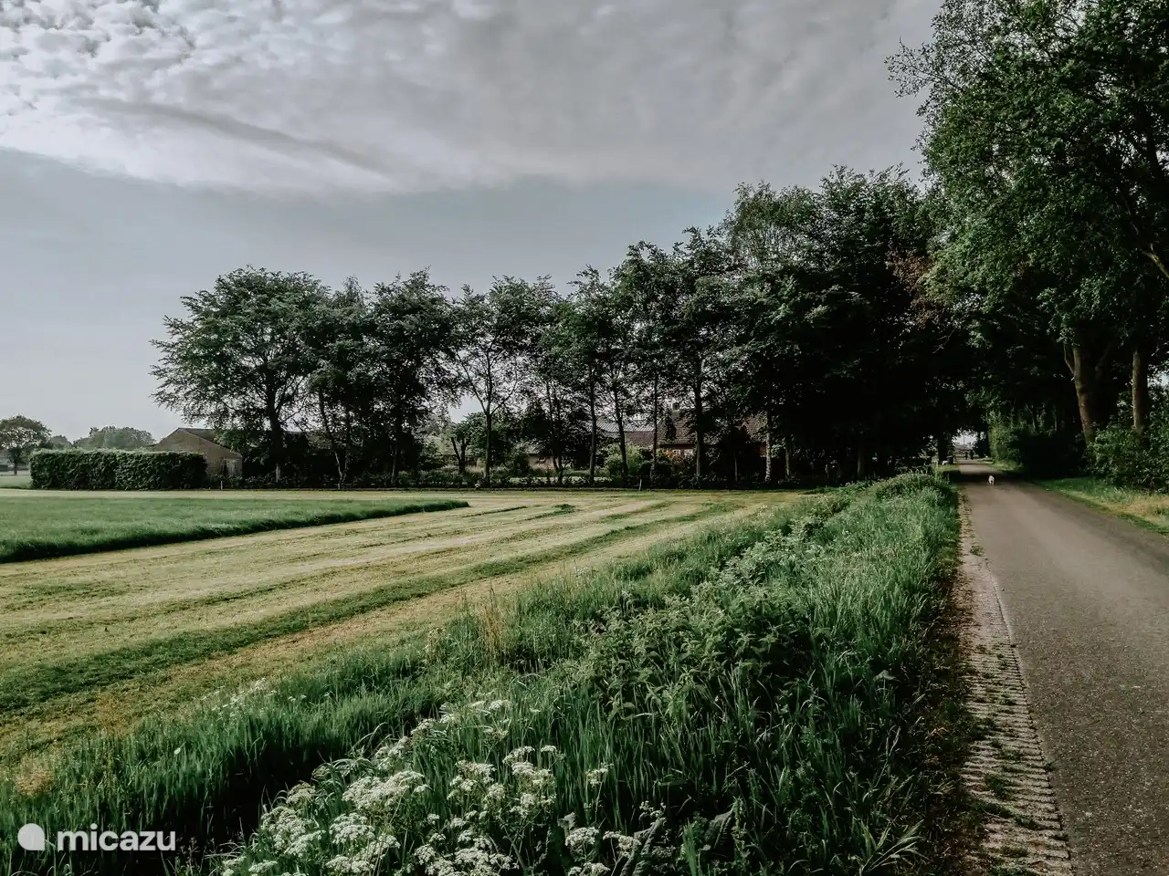 Wiese neben Boekels Buiten