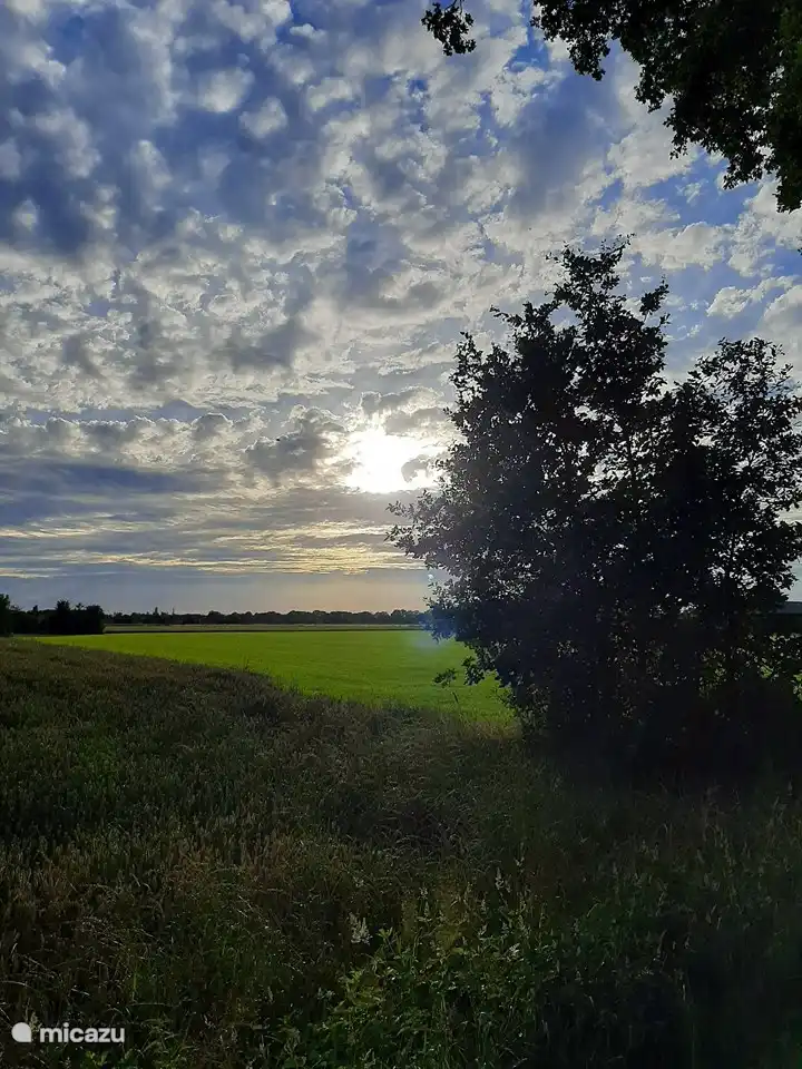 Ansicht im Juni, nur bei BoekelsBuiten