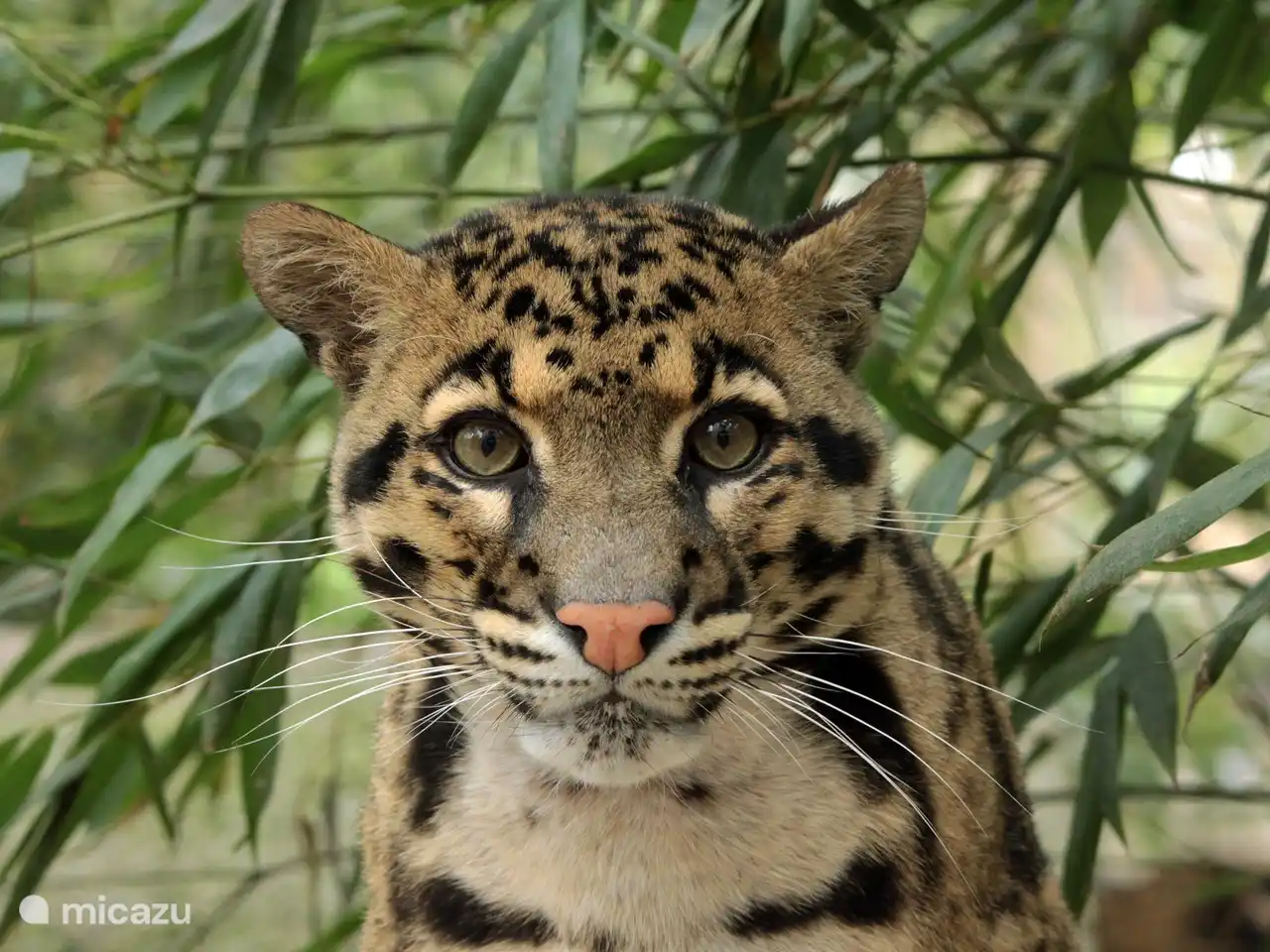 Tierpark ZieZoo Volkel, 7 km
