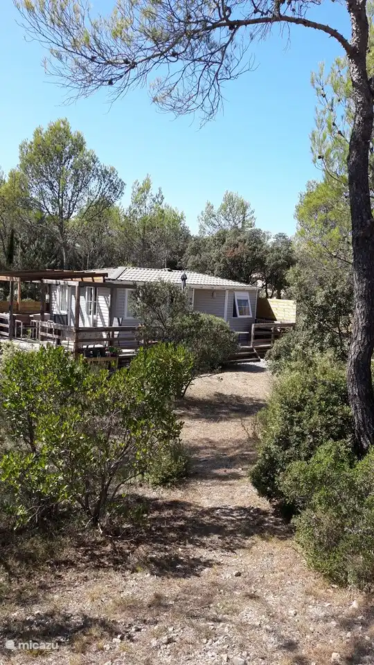 Blick auf das Haus vom Garten.