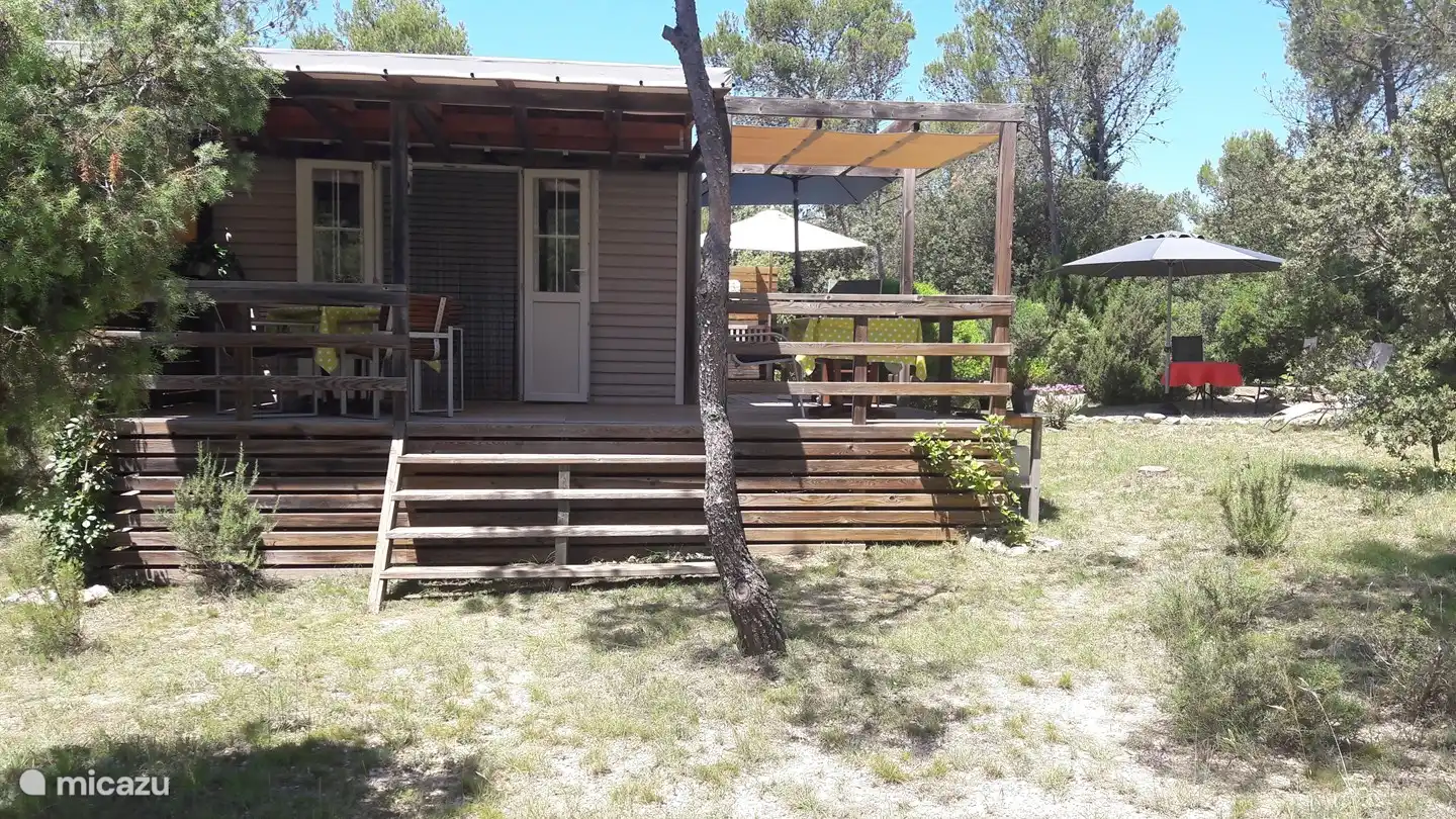 Sonne? Schatten? Wählen!