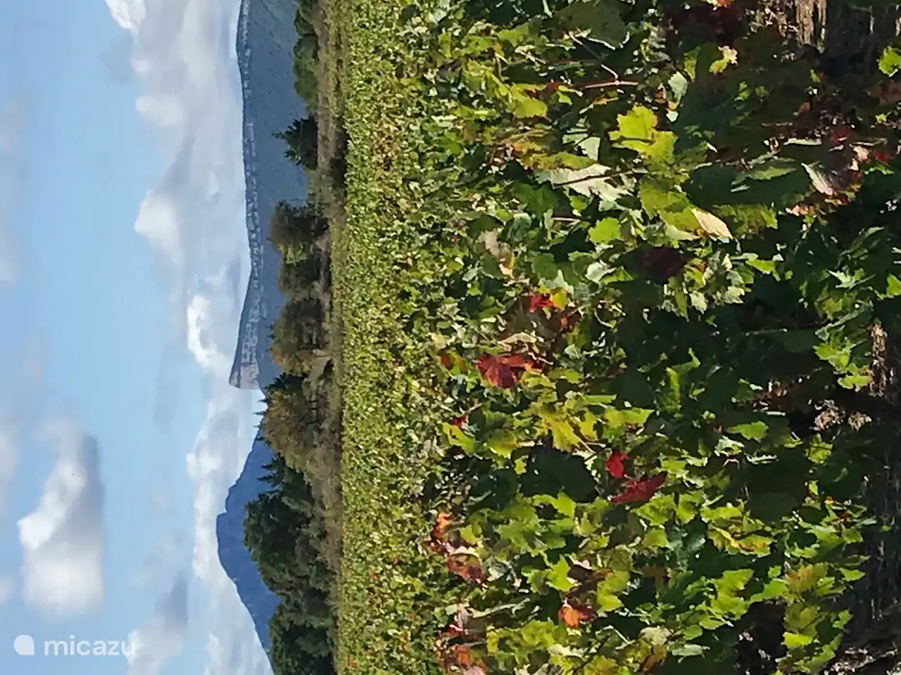 Wandern in der Gegend. Pic Saint Loup links, Hortus rechts.