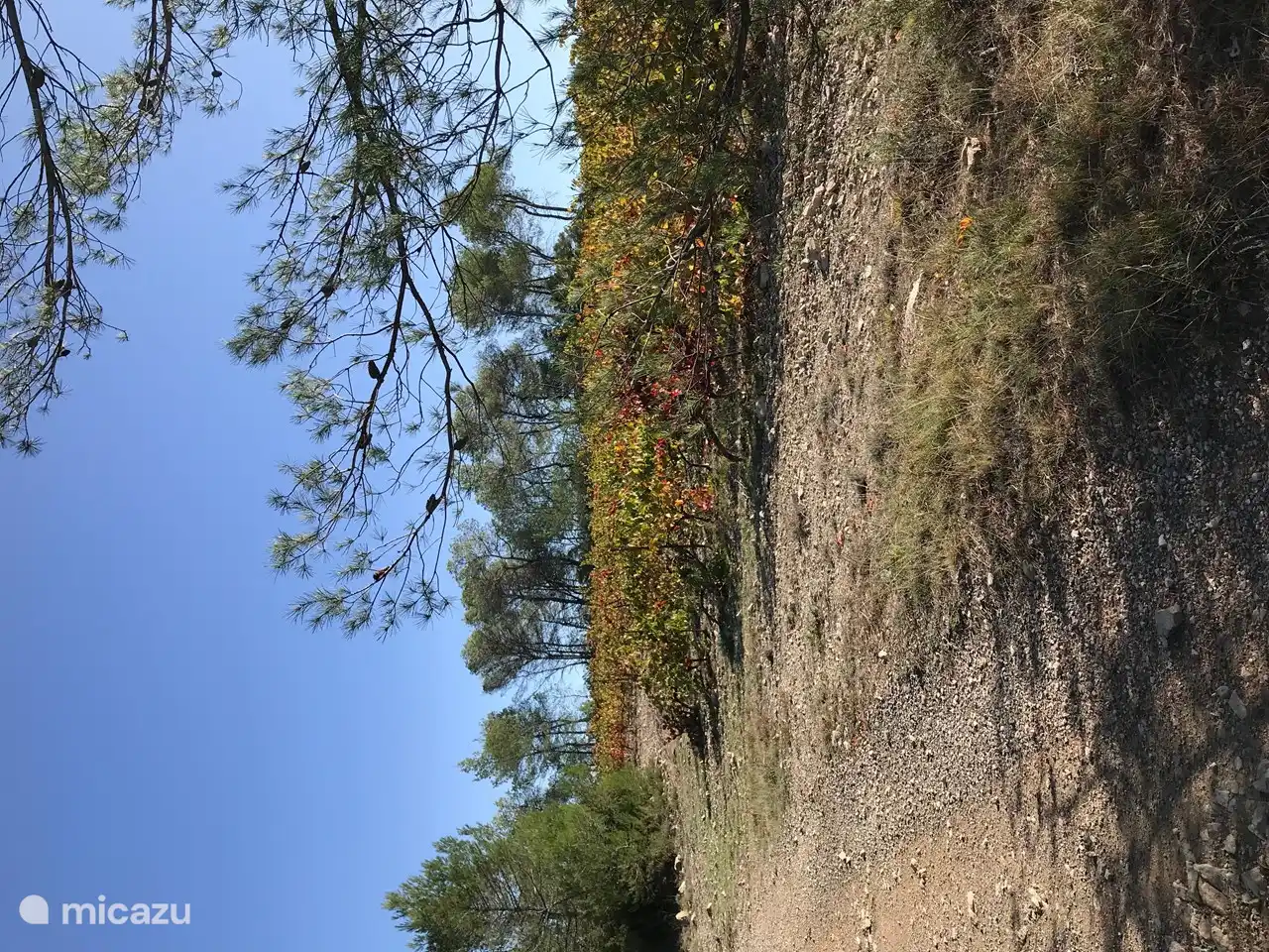 Weinberge hinter dem Park.